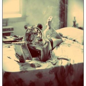 Meet your Posher, Donna